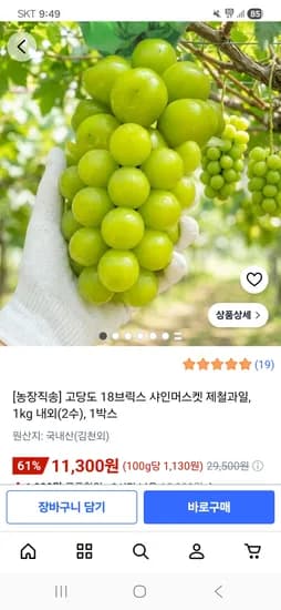 고당도 18브릭스 샤인머스켓 1kg내외(2수) 11,300원 무배