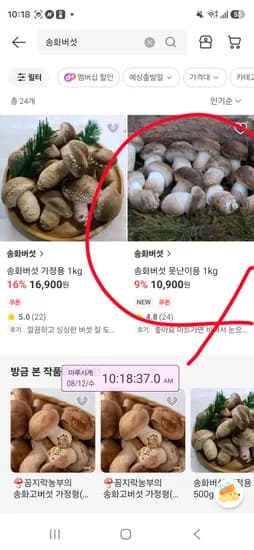 품절 아이디어스 못난이 송화버섯 1kg 5900원 멤버십이면 1900원 초핫딜