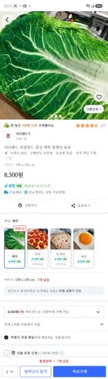 리얼푸드 담요 8500원
