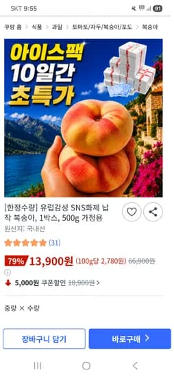 납작 복숭아 가정용 500g 13,900원