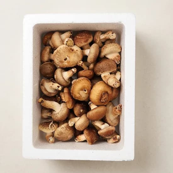 송화버섯 가정용 500g 7,990원