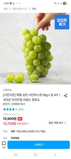 김천 샤인 머스켓 2KG