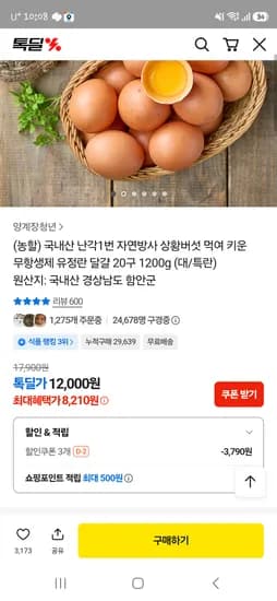 카톡 톡딜 난각1번 자연방사 유정란 20구 8210원