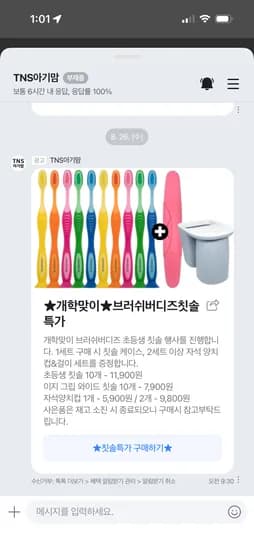 브러쉬버디즈 초등학생칫솔 10개 11,900원