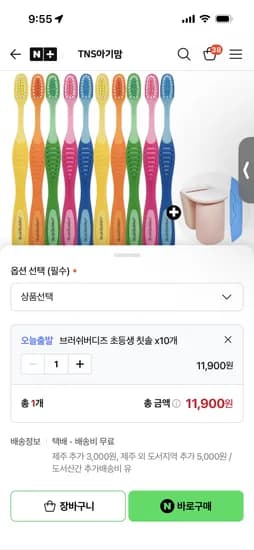 브러쉬버디즈 초등학생칫솔 10개 11,900원