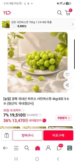 샤인머스켓 4kg 5~6수 13,470원