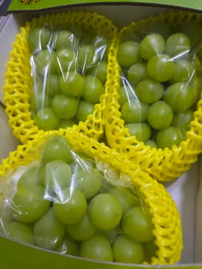 샤인머스캣 1.5kg 3송이 8,736원