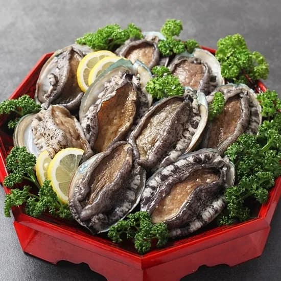 프리미엄 완도 활 전복 1kg 9-10미 19,024원