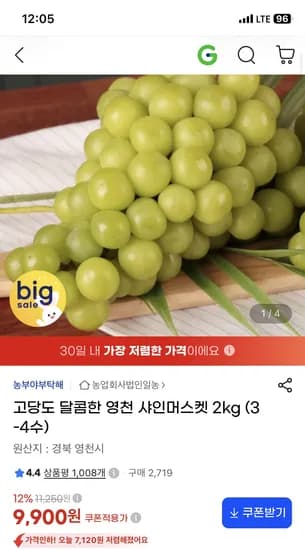고당도 영천 샤인머스켓 2kg 3-4수 9,900원