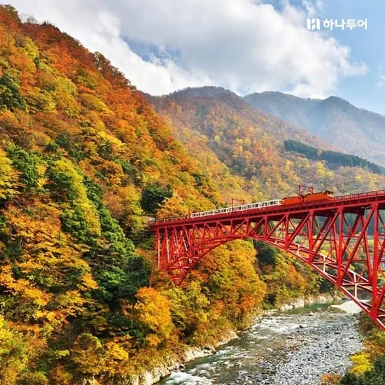10월 일본 알펜루트 단풍여행 145만원대~