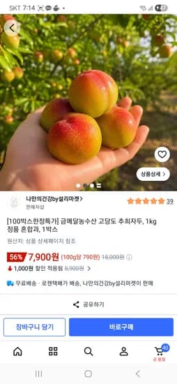 고당도 추희자두 1kg 7,900원