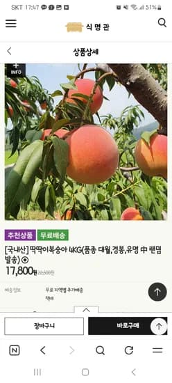 딱딱한 복숭아 4kg 17,800원