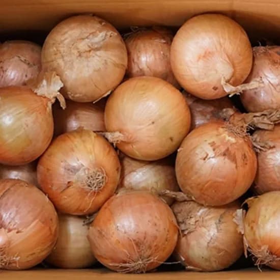 국내산 만생종 양파 3kg(특) 2,960원