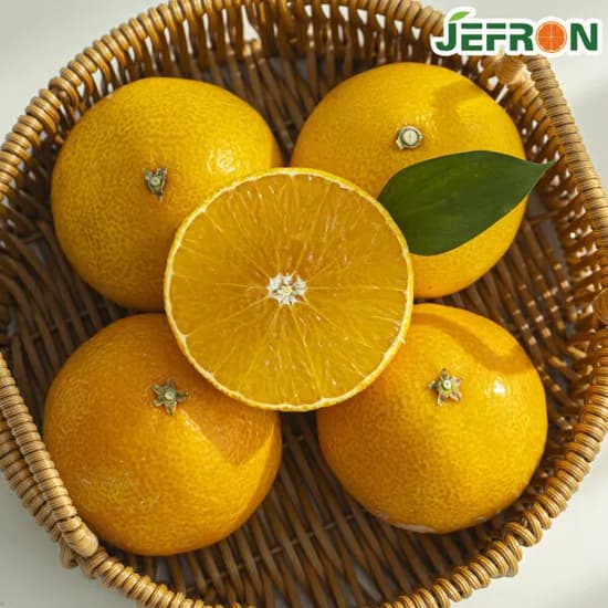 황금향 하우스재배 2KG 중소과(17-11과) 11,500원 무배