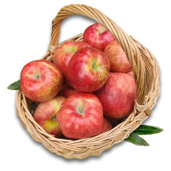 아침이슬농원 첫수확 사과 4kg 12,240원