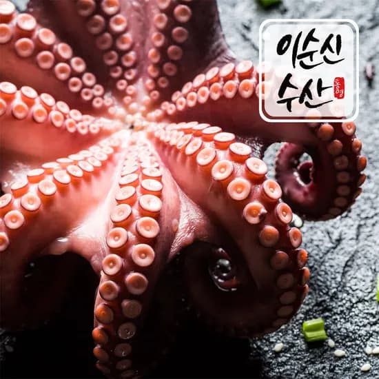 이순신수산 남해안 자연산 생물 돌문어 1kg 11,340원