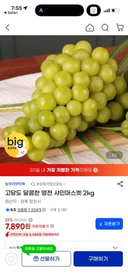 고당도 달콤한 영천 샤인머스켓 2kg 7,890원