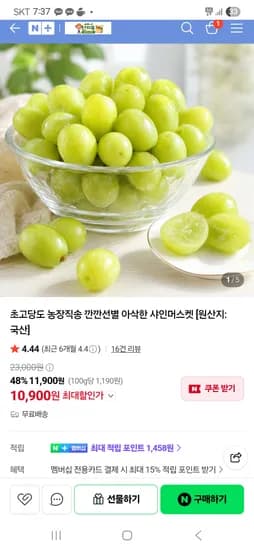 산지콕 고당도 아삭한 샤인머스켓 2kg 10,900원 무배