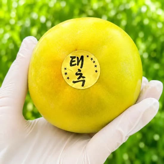 고당도 태추 단감 명절 선물용 17,230원
