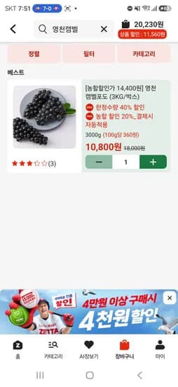 영천캠벨포도 3kg 추희자두 1kg 9,928원