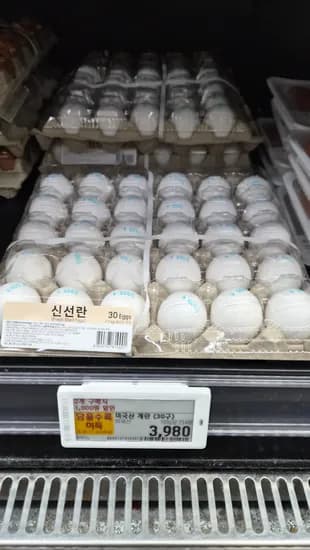 미국산 계란 30구 3,980원