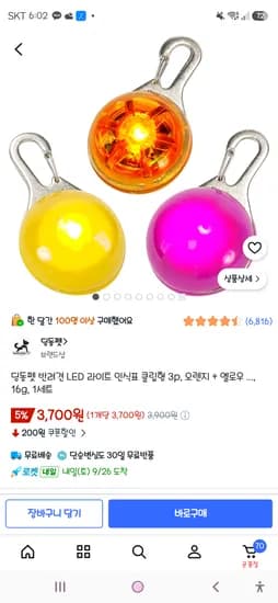 반려견 LED 라이트 인식표 클립형 3개