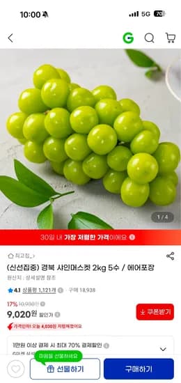경북 샤인머스켓 2kg 5수