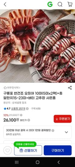 구룡포 반건조 오징어 10미 외 총알한치 15~23미 26,100원