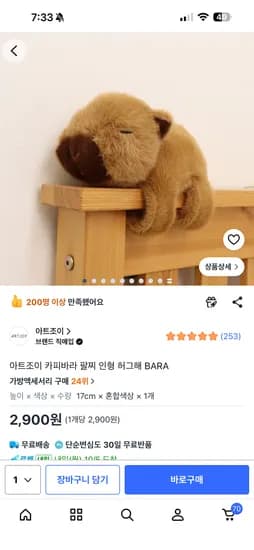 카피바라 팔찌 인형 외 1종