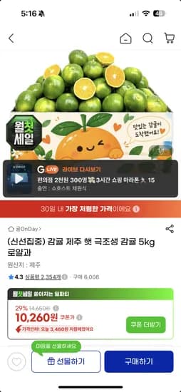 햇 극조생 감귤 5kg 로얄과