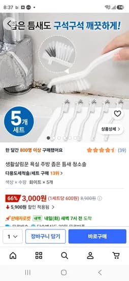 좁은 틈새솔 5개
