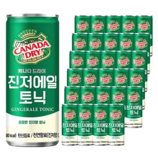 코카콜라음료 캐나다 드라이 진저에일