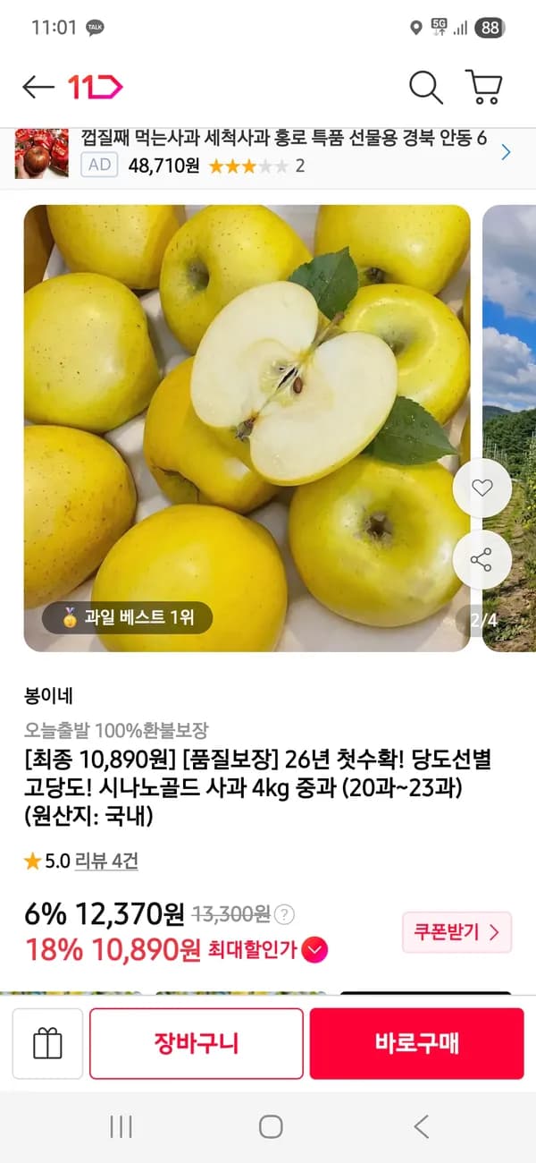 시나노골드 사과 4kg 중과 20과 10,890원