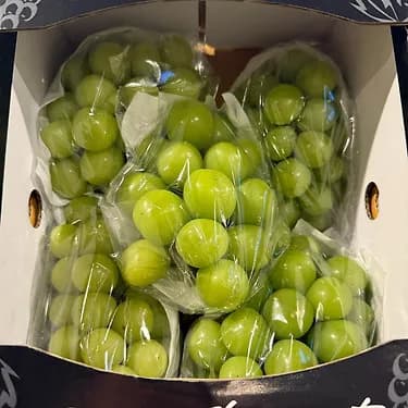 샤인머스켓 2kg(4~5수)
