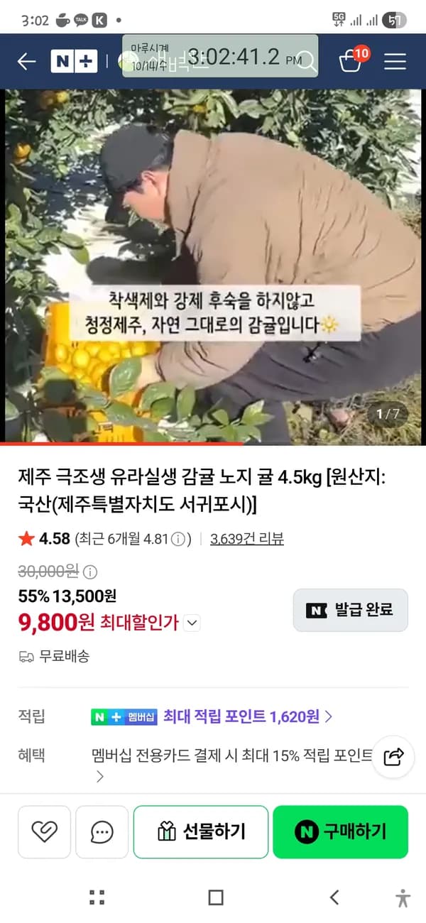 제주 극조생 유라실생 감귤 노지 귤 4.5kg 9800원