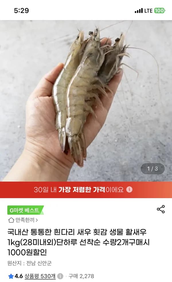 생물 활새우 1kg (28미내외) 19,850원