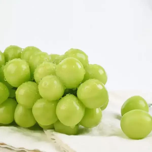 스윗킹 고당도 김천 실속형 샤인머스켓 2kg(3-5수) 6,420원
