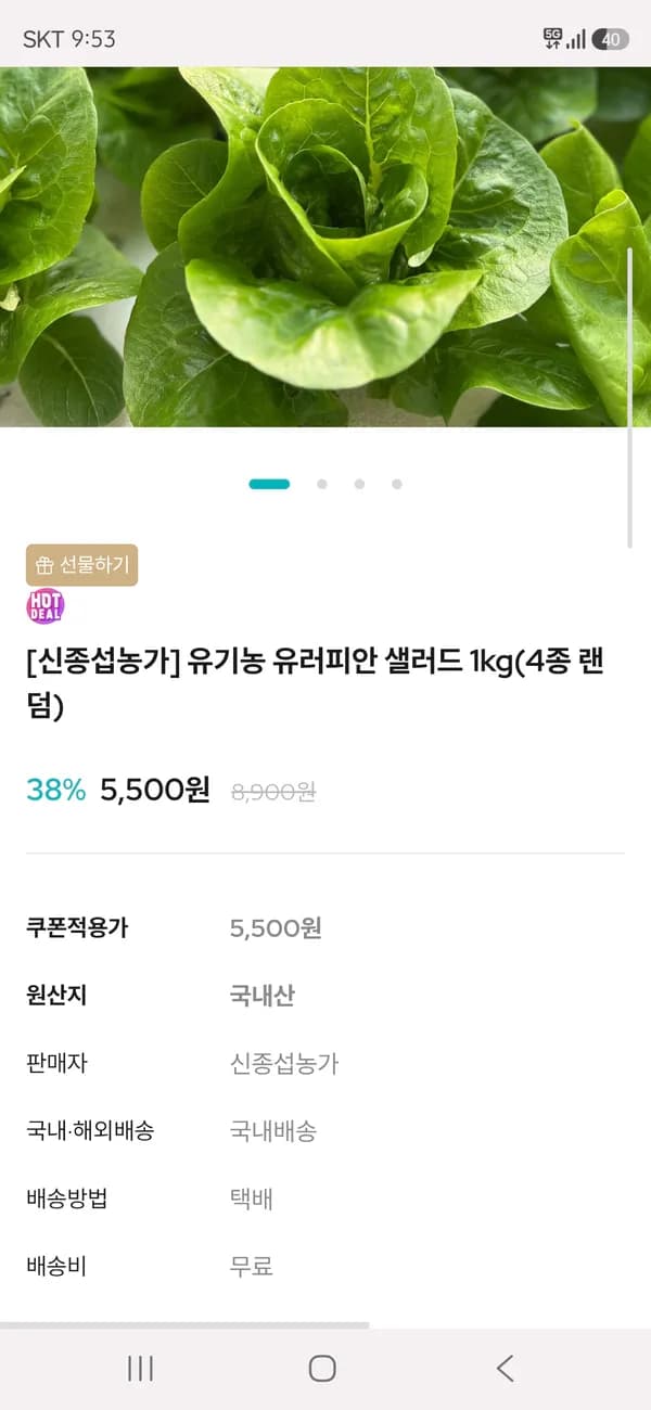 유러피안 샐러드 채소 1kg 5,500원