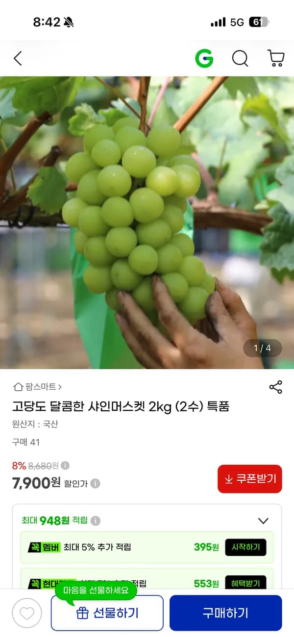 달콤한 샤인머스켓 2kg 2수 7,900원