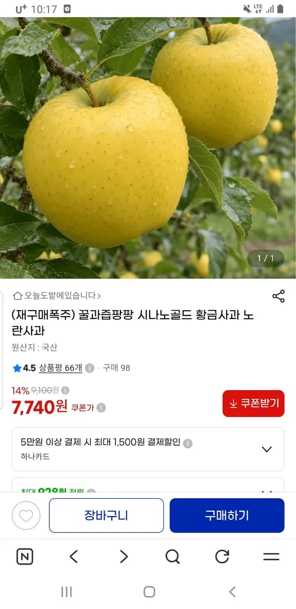 꿀과즙팡팡 시나노골드 황금사과 노란사과 2kg 7,740원