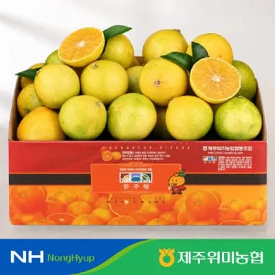 당도선별 제주 황금향 3kg(18-24개입) 11,900원
