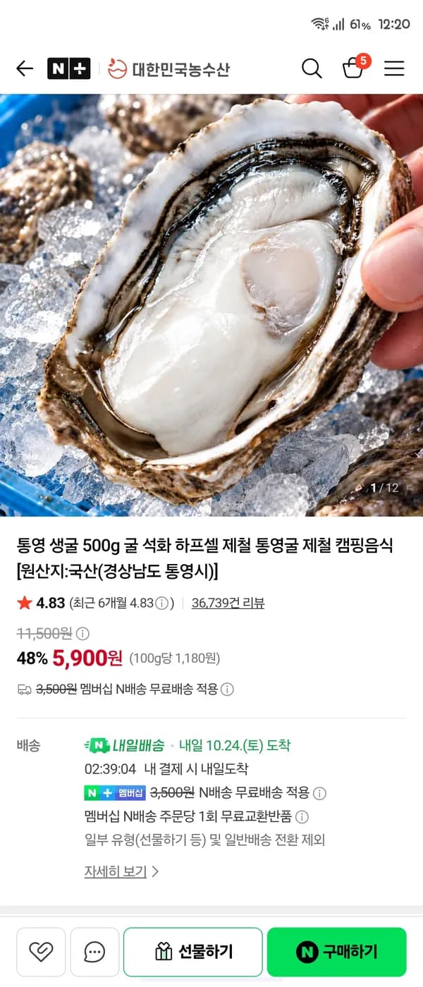 통영 생굴 500g 내일배송 5,900원