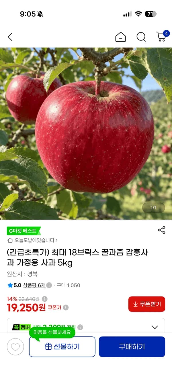 감홍사과 5kg 19250원