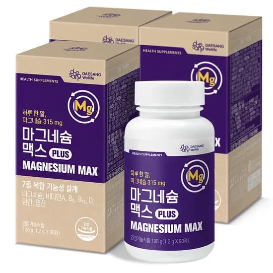 웰라이프 마그네슘 맥스 1.2g 90정, 3개