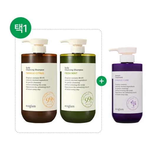 에코글램 데미지 케어 단백질 트리트먼트 500ml 외 스칼프 클렌징 샴푸 1000ml 2종 세트