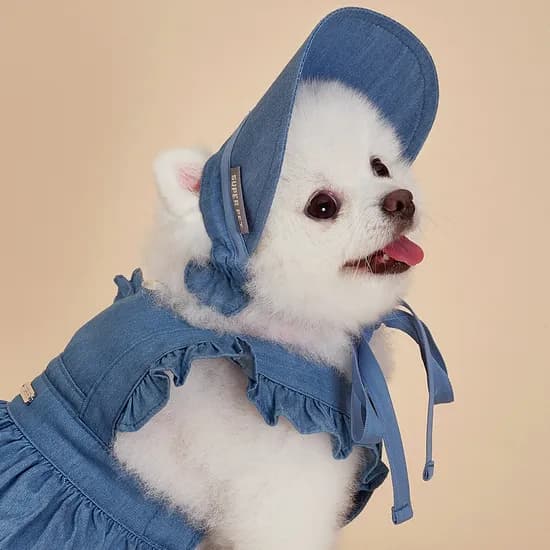 강아지모자 데님썬캡 애견선캡 대형견 반려견산책용 여름 자외선 차단