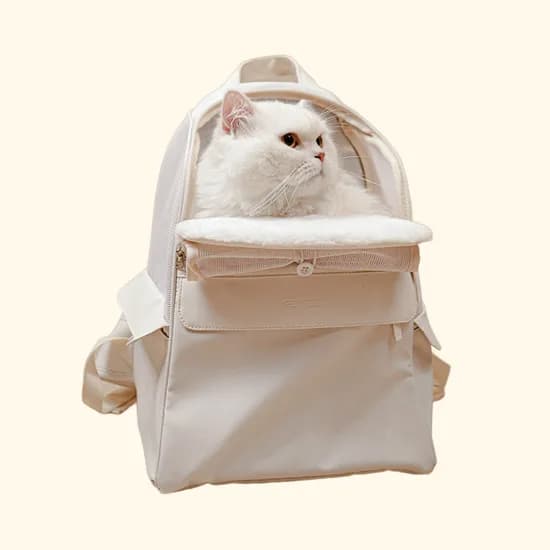 펫케어 강아지 가방 고양이 이동장 스위트백 폴딩 세모 백팩
