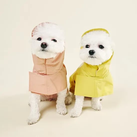 울리 강아지 우비 망토 레인코트 판초
