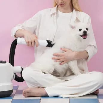 세븐펫 진공미용기+드라이기 2in1 강아지 고양이 이발 에어살롱 펫스타일러