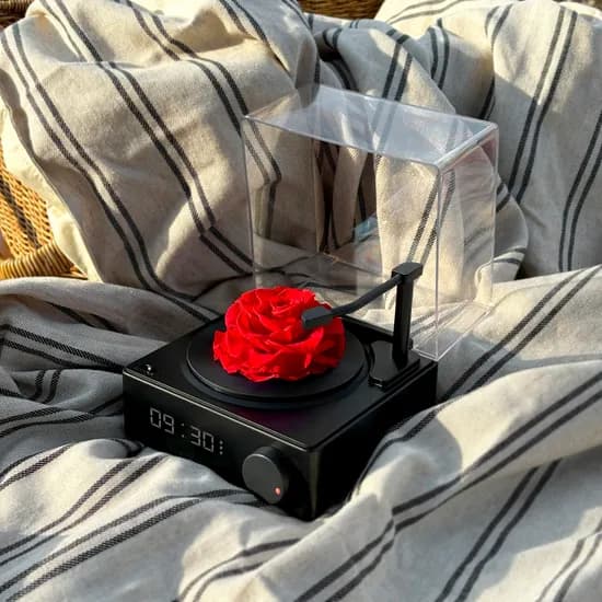 오브룸 로즈 블루투스 스피커 프리저브드 장미 생화 무선 턴테이블 휴대용 인테리어
